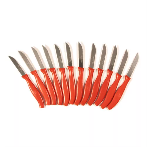 Set de cuțite de masă IRIS KT-604, format din 12 piese