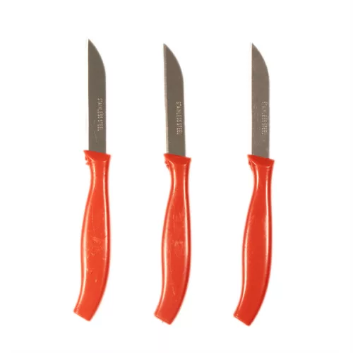 Set de cuțite de masă IRIS KT-604, format din 12 piese