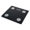 TOO BSC-400 Schwarzkörper-Zusammensetzungswaage
