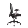 Uredska okretna stolica Office Pro CALYPSO 1211 antracit boje