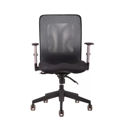 Uredska okretna stolica Office Pro CALYPSO 1211 antracit boje