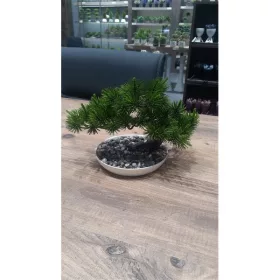   IRIS E5778 BONSAI dekoráció művirággal cserépben 25x18cm