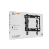 Sbox PLB-2222F-2 23"-43" fix fali TV konzol