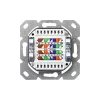 DIGITUS DN-9006-N Cat.6 Modulo50 Doppelwandsteckdose mit 2x RJ45 geschirmten Anschlüssen
