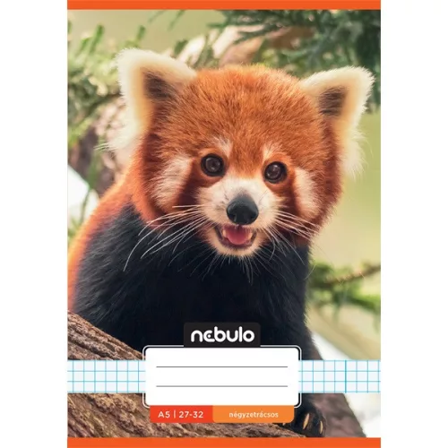 Nebulo Cuki minták II A5 27-32 tűzött kockás füzet
