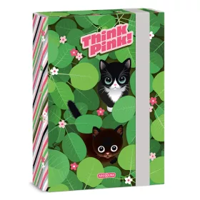 Ars Una Think-Pink 25 (5462) A5 füzetbox