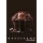 Pigna Chocolate A4 tűzött 38 lapos kockás füzet