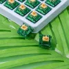 Gateron Beer Switch - Prémium Tactile Mechanikus switch szett (35db)