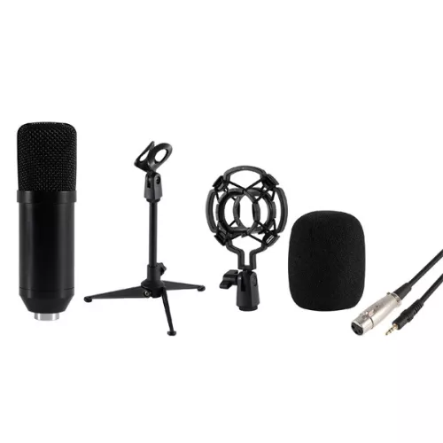 Štúdiový mikrofón SAL M 12 XLR-3,5 mm a statív