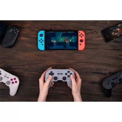 8BitDo Pro 2 Bluetooth Hall-Effekt-Controller (schwarz) für Nintendo Switch / Switch 2 / PC / Mobilgeräte / Steam