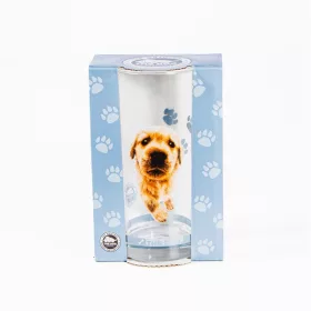 Pahar de cocktail, Golden Retriever