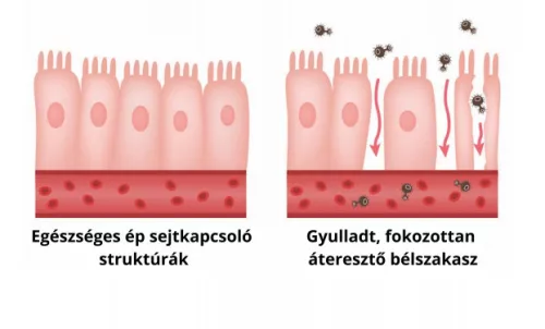 SunlightVitamin ColonBalance Plus Problemspezifisches Probiotikum (60)