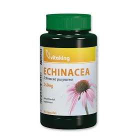 Vitaking Echinacea 250mg Lila Echinacea (90) Kapseln