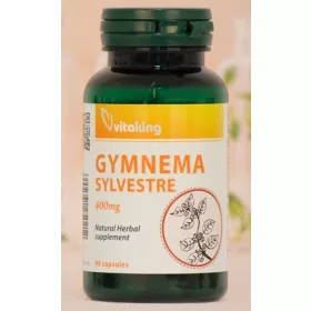 Vitting Gymnema Sylvestre 400 mg (90) Kapseln