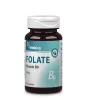 Vitaking Folat – Vitamin B9 400 µg (60) Kapseln, organisches Folat