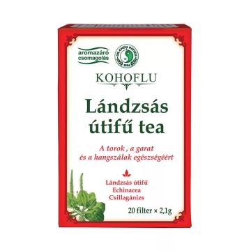   Dr. Chen KOHOFLU Lándzsás útifű filteres teakeverék 20x2,1g