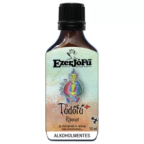   EzerJóFű Lungenkraut+ Extrakt 50ml alkoholfrei, mit pflanzlichem Glycerin