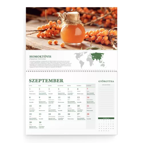 Györgytea Gesundheitskalender 2025 Wandkalender