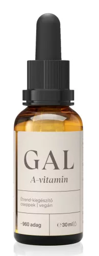 GAL Vitamin A 1000 IE x 960 Dosen NEU