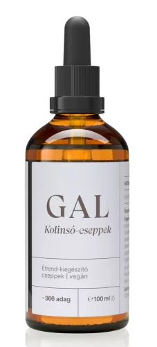 GAL Cholin-Salz-Tropfen 100ml NEU
