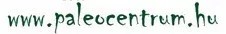 Vitaking CoQ10 Coenzym 100mg (30) Weichkapseln