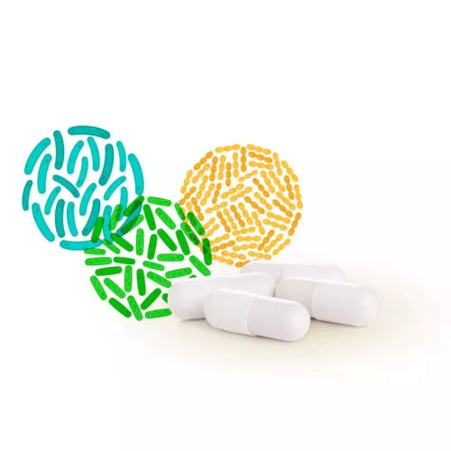 Caleido Mega Probiotic 60 Kapseln
