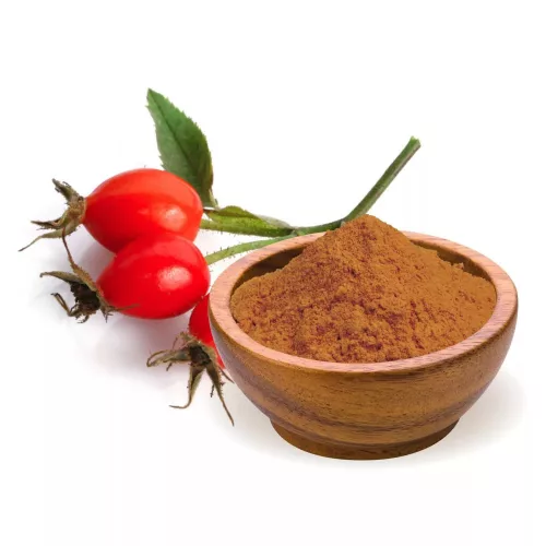 BioMenu BIO Hagebuttenpulver 125 g