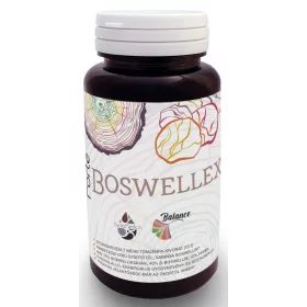 Freyagena FORTE BOSWELLEX 60 Kapseln