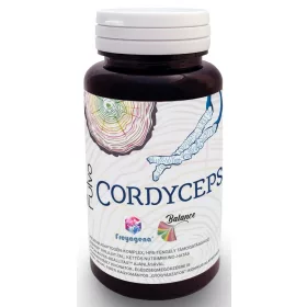 Freyagena Fulvo Cordyceps 60 Kapseln
