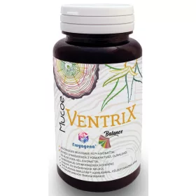 Freyagena Mucoe Ventrix 80 Kapseln