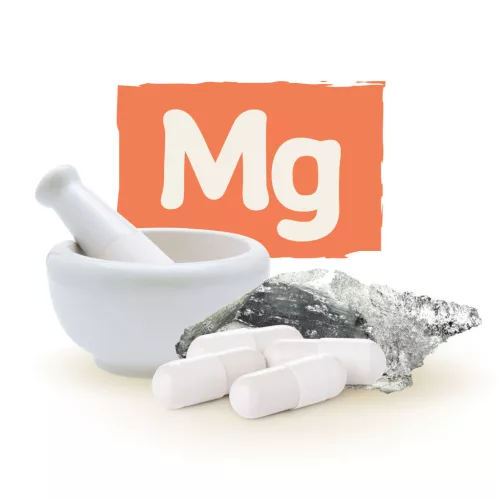 Caleido Magnesiumcitrat-Tabletten, 60 Stück
