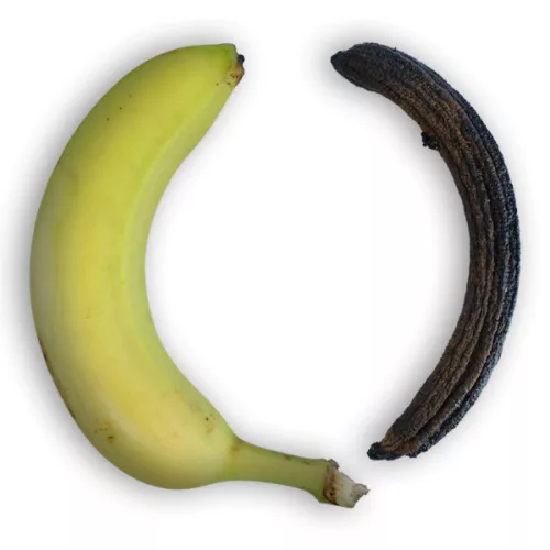 Ebonfare Schwarze Banane 45g (Schwarze Banane)
