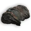 Ebonfare Schwarze Birne 45g (Schwarze Birne)