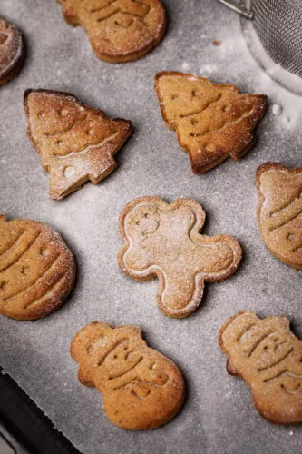 Pantry Weiches und duftendes Lebkuchenmehl, reduzierte Mehlmischung, 200 g (Paleo)