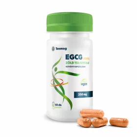 Tenmag EGCG Forte 350 mg Grüntee-Extrakt 60 Kapseln