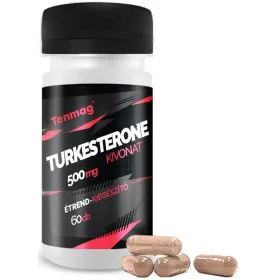 Tenmag Turkesteron-Extrakt 500 mg 60 Kapseln