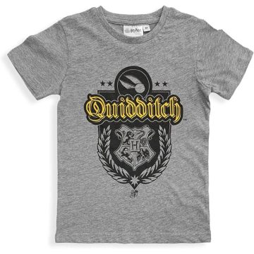   Harry Potter Quidditch Grey gyerek rövid póló, felső 8 év / 128 cm