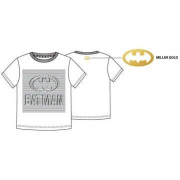 Batman férfi póló, felső S