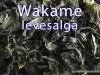 GTB Wakame getrocknete Algen 100g