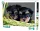 Yorkshire-Terrier-Puzzle, 99 Teile