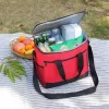 Geanta termoizolanta pentru picnic sau plaja, capacitate 16l, culoare Rosie