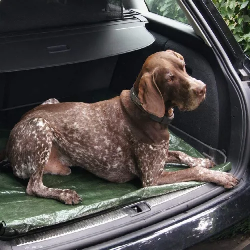 Prelata Impermeabila cu ochiuri metalice de prindere, dimensiune 6,0m x 8,0m, densitate 120g/m2, culoare verde