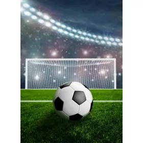 Focis Stadion polár takaró 100x140cm