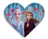Disney Frozen Blattkissen, Dekokissen 35x30 cm aus Velours
