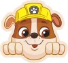 Paw Patrol Rubble Kissen, Dekokissen 40x37 cm Velours