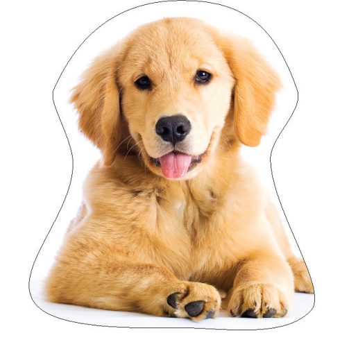 Kutyás Golden Retriver formapárna, díszpárna 35x35 cm