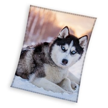 Kutyás Husky coral fleece polár takaró 150x200cm
