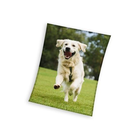 Kutyás Happytail Retriever coral fleece polár takaró 150x200cm