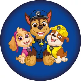 Paw Patrol Squad Kissen, Dekokissen 37x37 cm