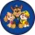 Paw Patrol Squad Kissen, Dekokissen 37x37 cm